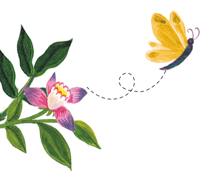 96º Flower And Butterfly Illustration
