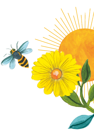 96º Chamomile And Bee Illustration