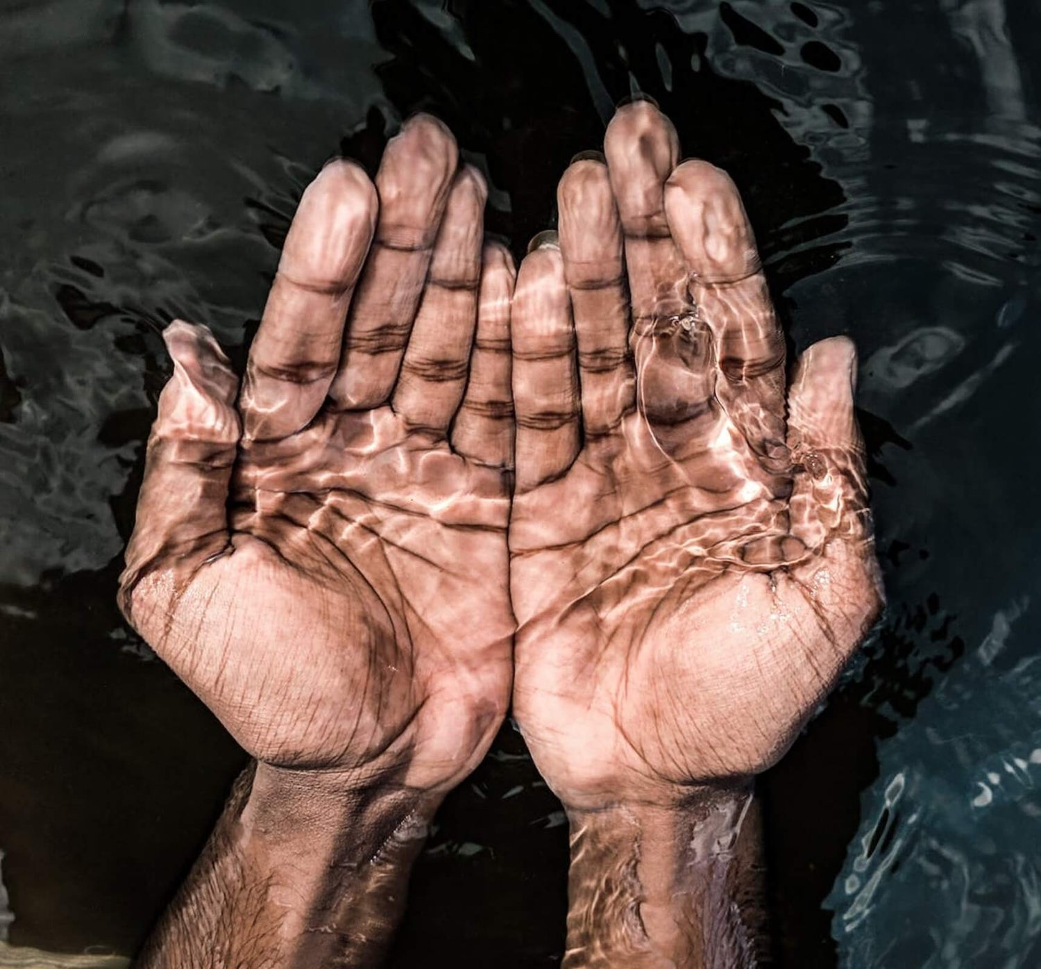 Sustainability Image