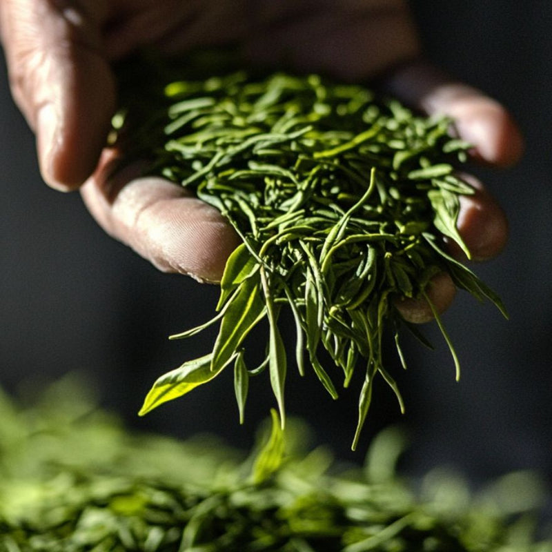 96º Tea Leaves Image